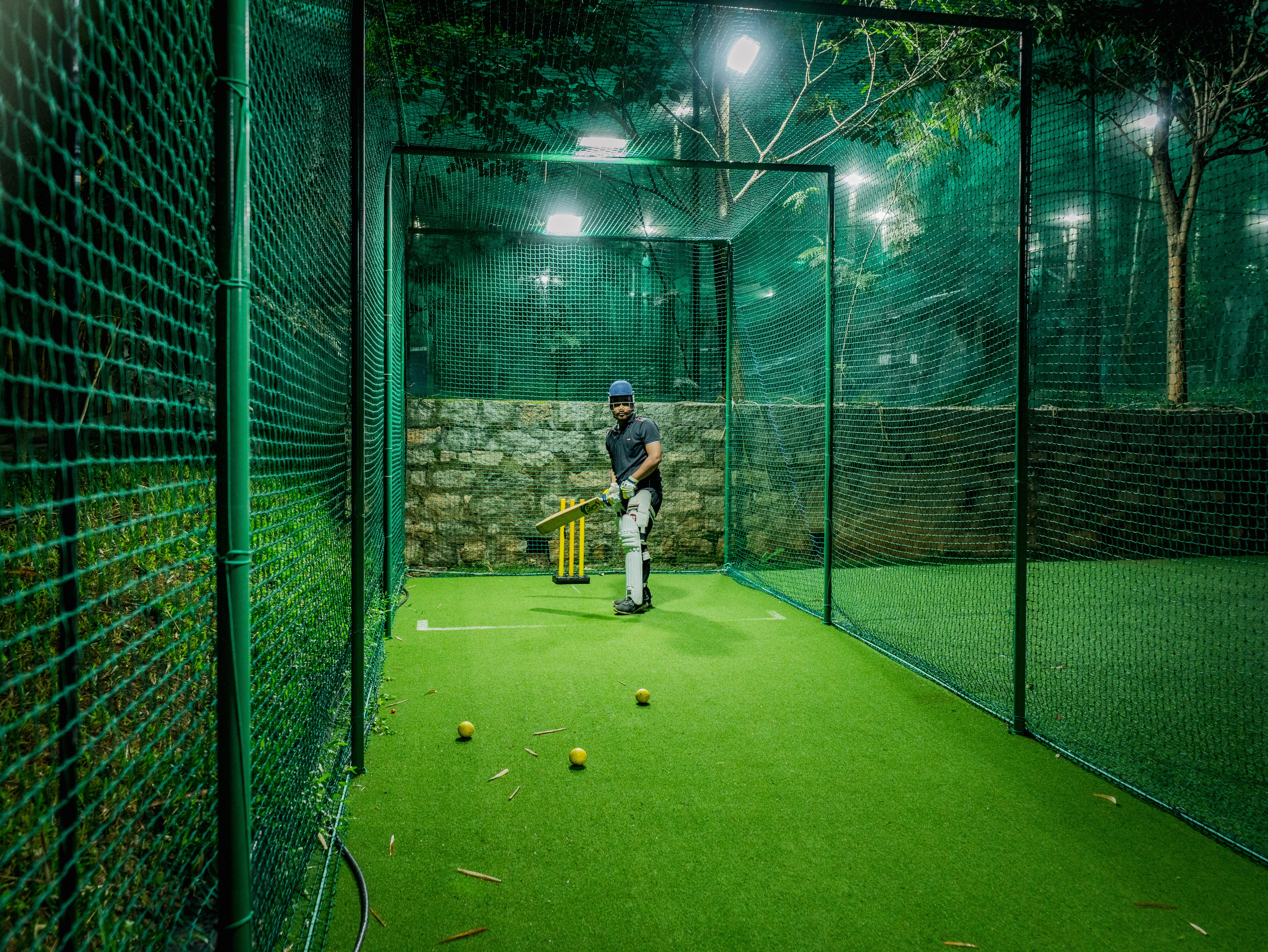 Cricket Simulator