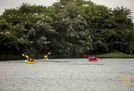 Kayaking