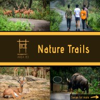 Nature Trail