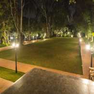 Lawn at Night