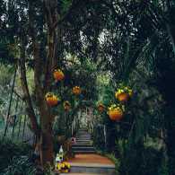 Pathway@Area83