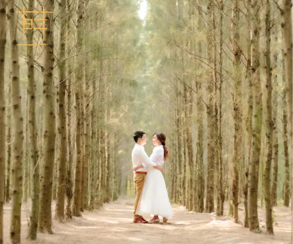 5 Must-Have Amenities in a Resort for a Flawless Pre-Wedding Function