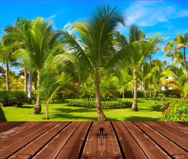 Adventure and Romance: Best Resort in Bangalore for Your Anniversary Celebration