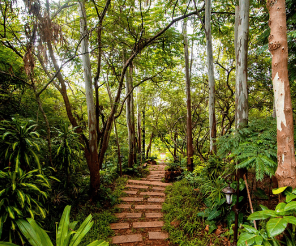 Best Resorts in Bangalore for Fun, Adventure & Relaxation – Discover Area 83