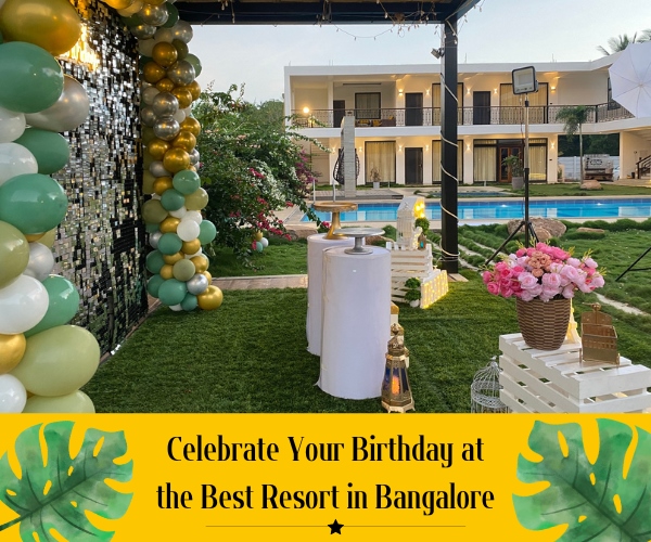 How Do You Celebrate a Unique Birthday Party in Resort?