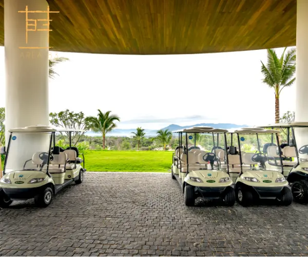Planning a Corporate One-Day Outing? Area83, a Resort for Team Building in Bangalore