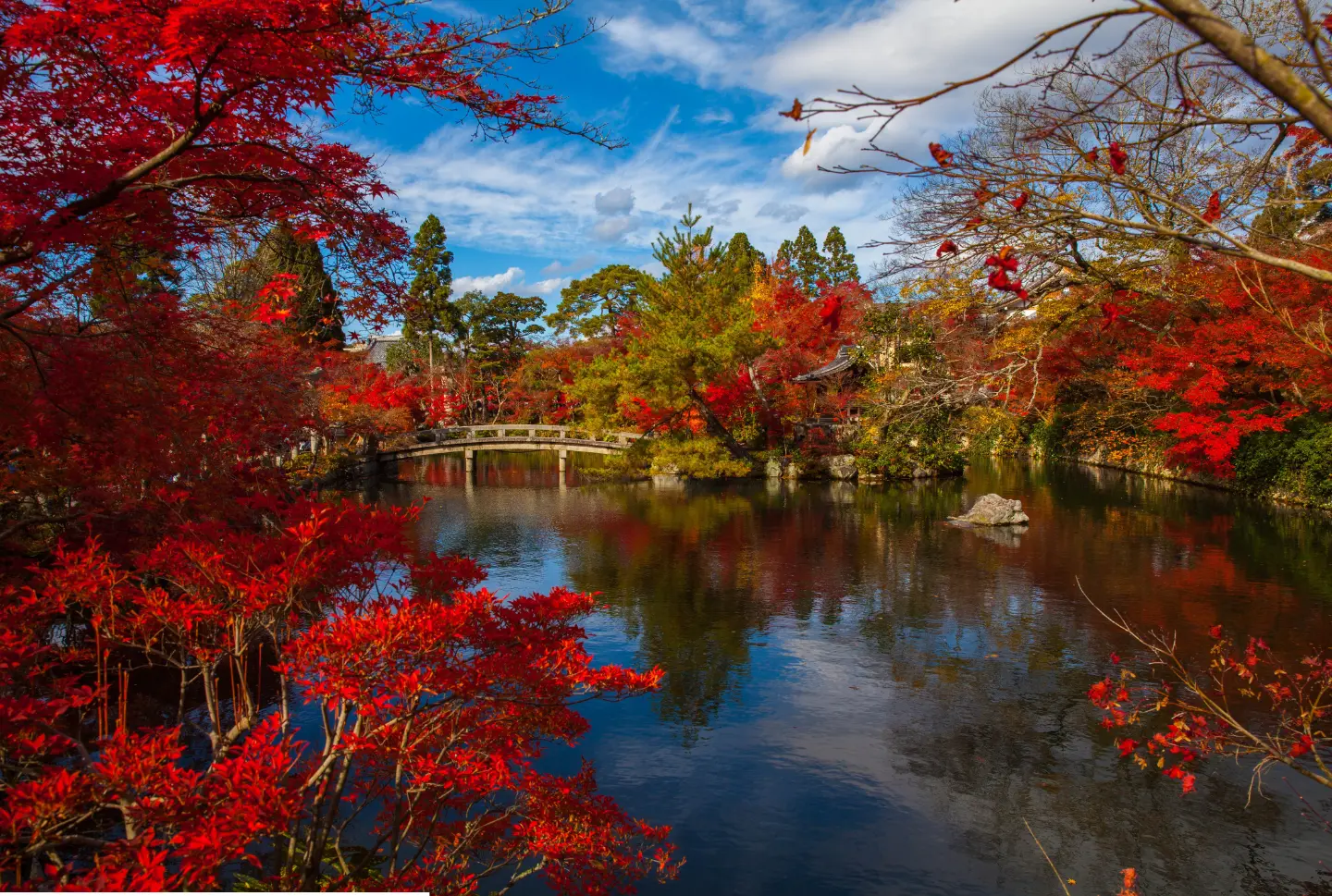 Seasonal Splendor: Unique Experiences at Area 83 Year-Round