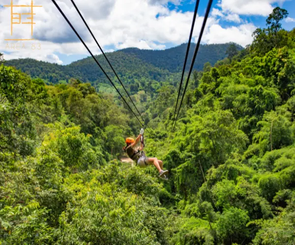 The Amenities and Activities You Can Expect at an Adventure Resort in Bangalore