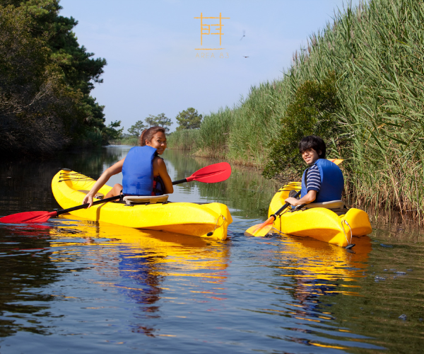 Top Tips for First-Time Kayakers at Area 83, Bangalore
