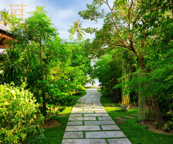 Why Adventure Resorts in Bangalore Are Perfect for Your Next Weekend Getaway