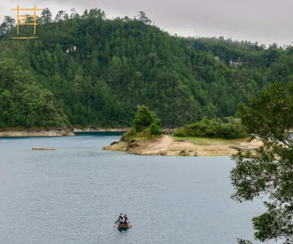 Why Resorts with Boat Rides in Bangalore Are the Best Way to Experience Nature