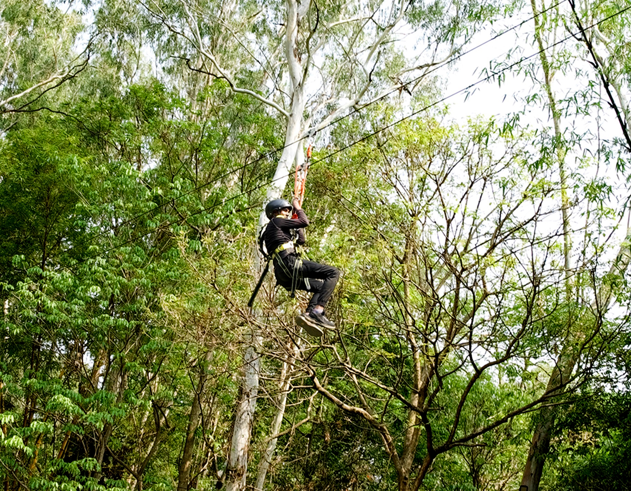 CDO